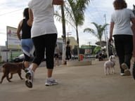 Anápolis Promoverá "dia de Cão"