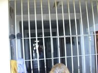 Cadeia Pública de Anápolis: denúncia de exploração sexual contra filhas de detentos