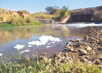 A densa espuma que surgiu às margens do Ribeirão causou surpresa