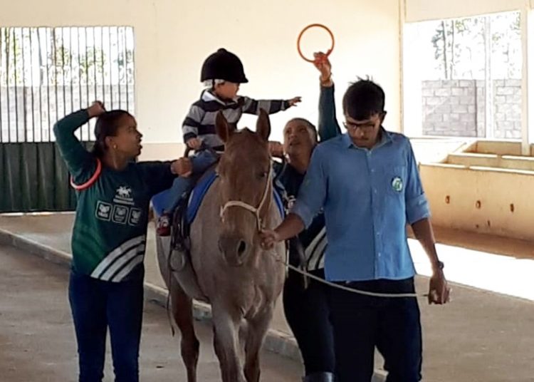 Atendimento Equoterapia