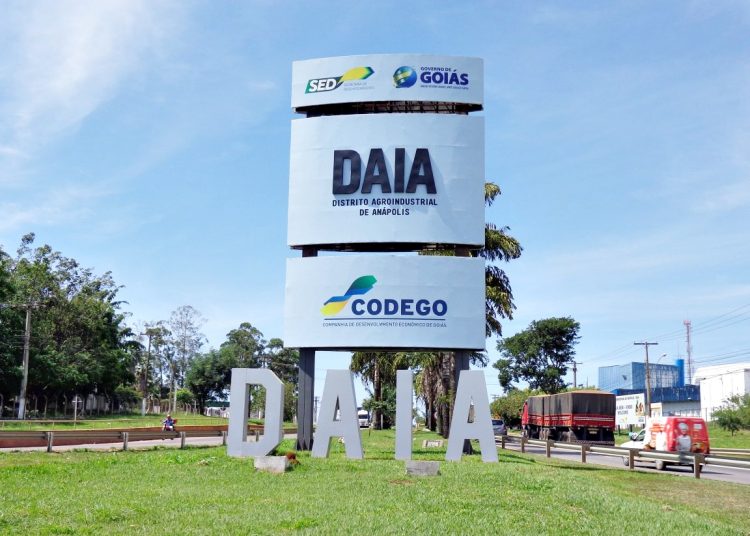Daia Codego