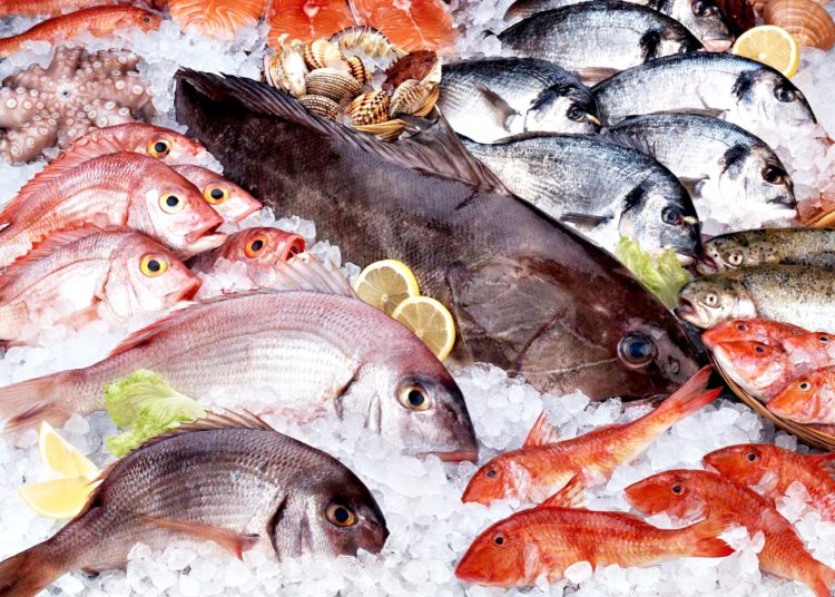 pescados 01