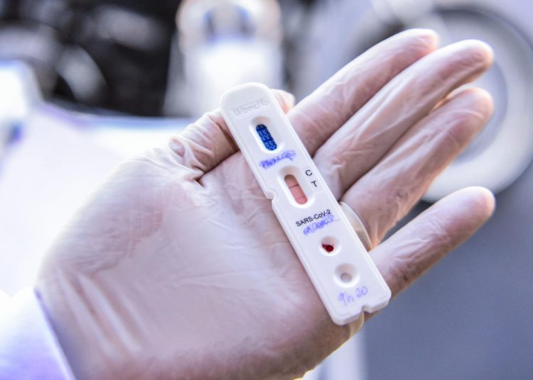 Foto: Reprodução/ SES