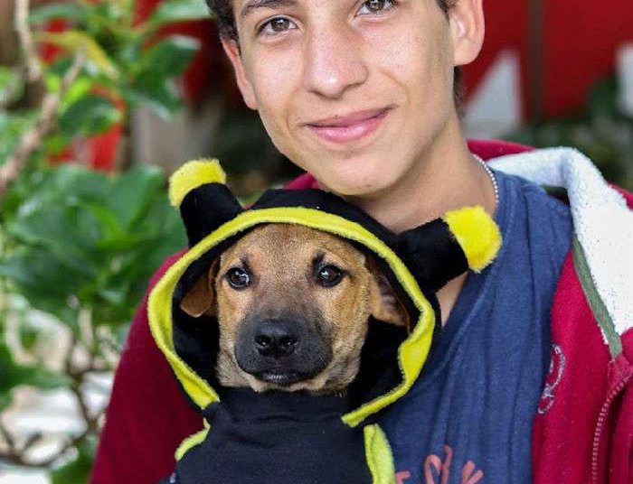 Eduardo Caiado sempre gostou de ajudar animais