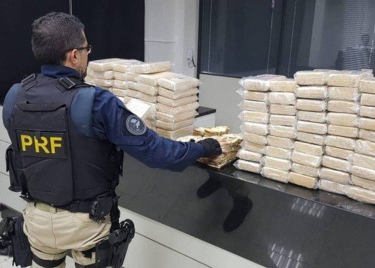 Apreensões em 2020 são 124% maiores que no ano passado