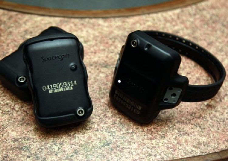 (Foto: Divulgação)