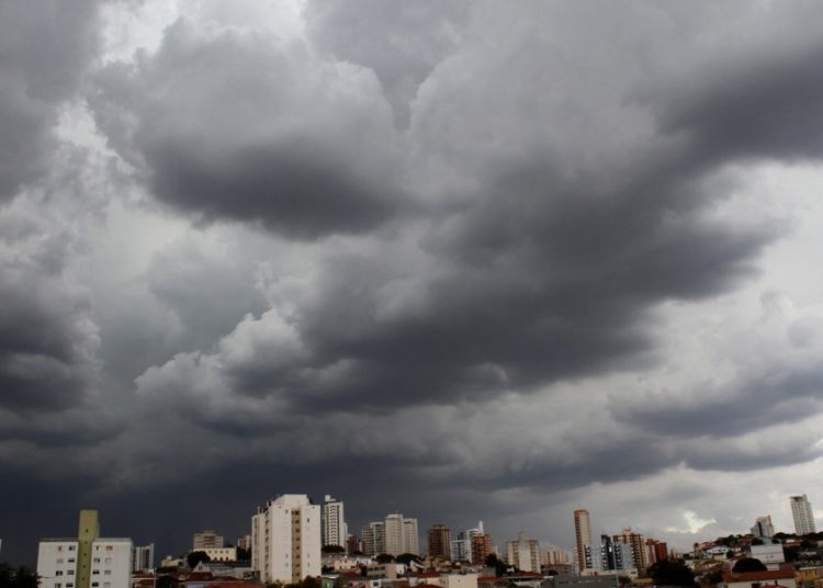 (Foto: Divulgação)