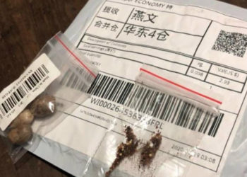 (Foto: Gabriel Zapella/Arquivo pessoal)