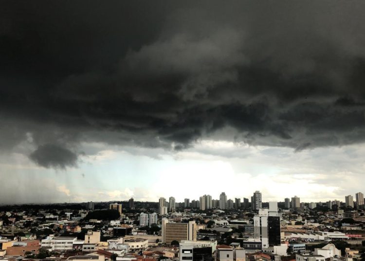 (Foto: Reprodução)