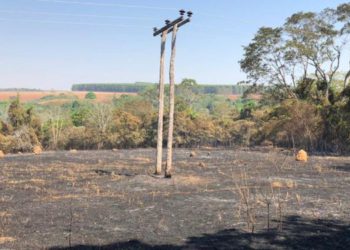 (Foto: Divulgação/ Saneago)