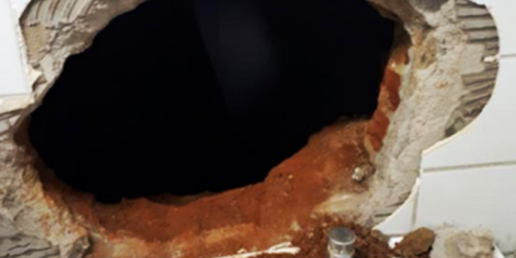 (Foto: Divulgação)