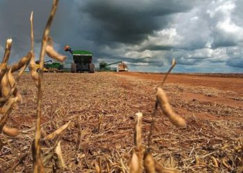 (Foto: Reprodução/ Internet)