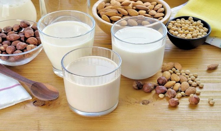 Extrato das castanhas e sementes, misturado à água, resulta num leite saudável e saboroso