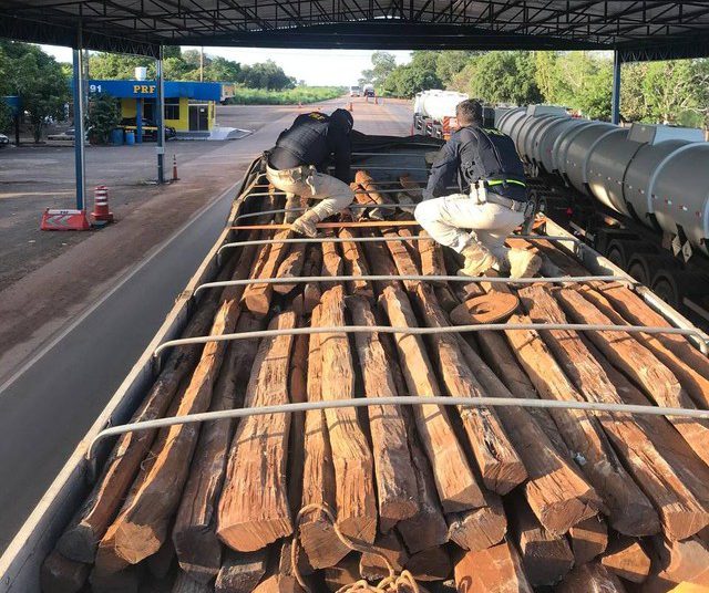 (Foto: Reprodução/ Internet)