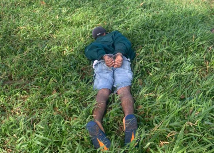 (Foto: Divulgação/ GIH)