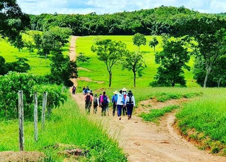 Caminho de Cora
