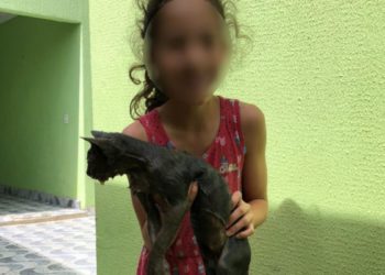Gato no colo de criança após ser resgatado pelos bombeiros. Foto: Bombeiros\Divulgação