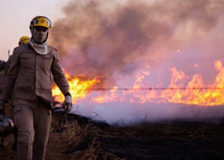 (Foto: Reprodução/ Corpo de Bombeiros)
