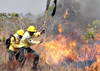 combate incêndio rural
