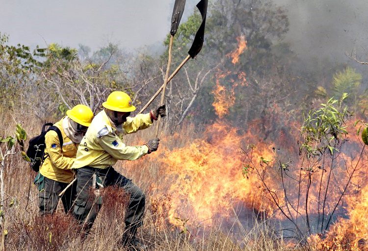 combate incêndio rural