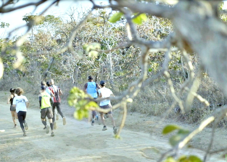 Circuito esportivo parques estaduais