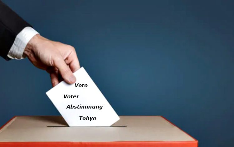 Voto mundo