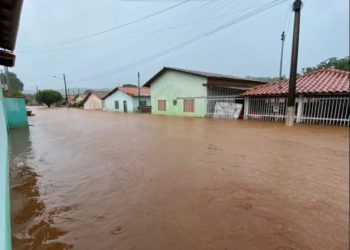 Distrito de Lagolândia, em Pirenópolis, sofreu com a força das águas (Foto: Corpo de Bombeiros)
