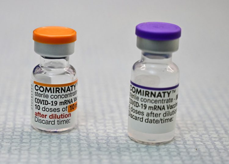 Frascos da vacina da Pfizer em versão pediátrica (laranja) e a partir dos 12 anos (roxa)