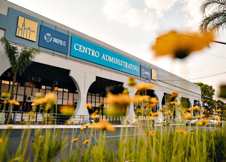 Imagem mostra flores amarelas e ao fundo o prédio da Prefeitura de Anápolis