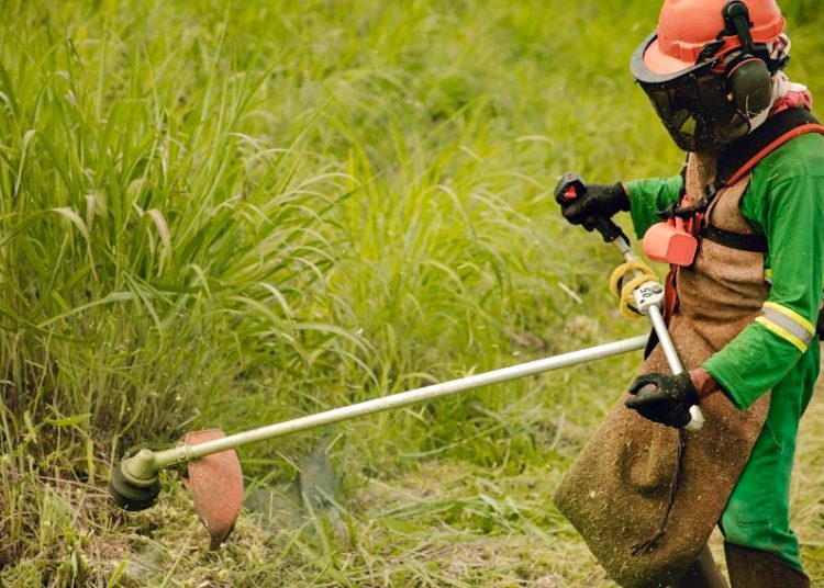 #PraTodoMUndoVer: A imagem mostra um trabalhador fazendo a roçagem de uma área, ilustrando matéria sobre a recriação da Semsurb