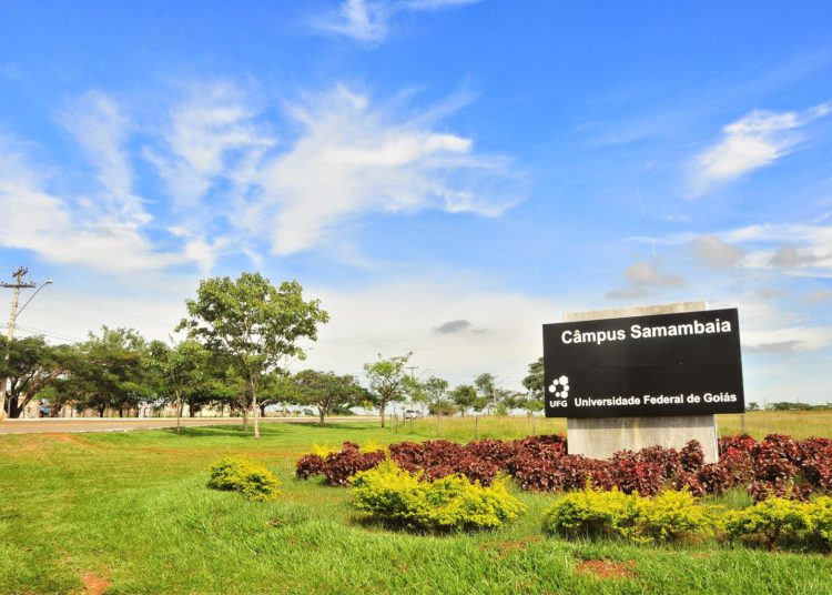 foto da entrada do campus samambaia da universidade federal de goiás, a ufg