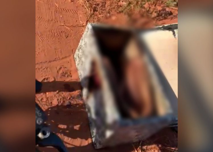foto da caixa onde cadáver foi encontrado. Na foto, interior da caixa está desfocada propositalmente