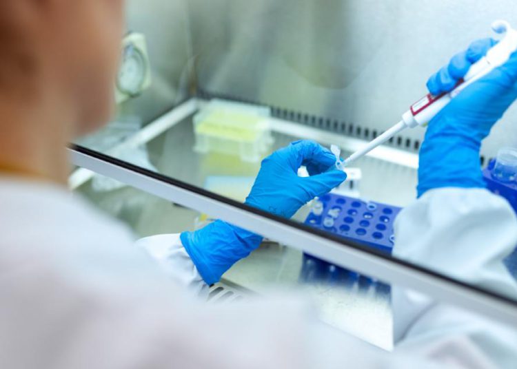 foto de pessoa, de jaleco branco, mexendo em tubo de ensaio em laboratório