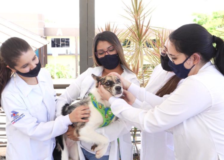 foto de veterinárias segurando cachorro no colo