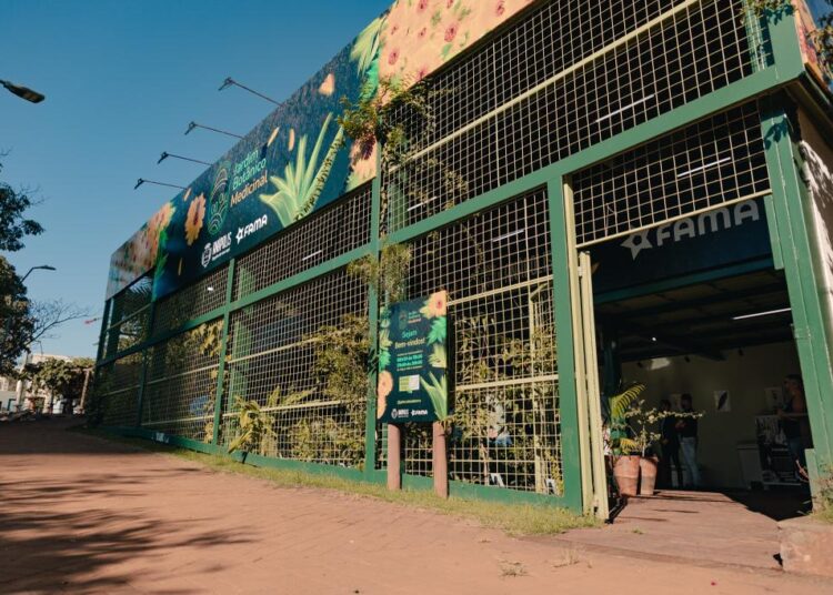 Jardim Botânico Medicinal, aberto a visitação pública diariamente no Parque Ambiental Ipiranga