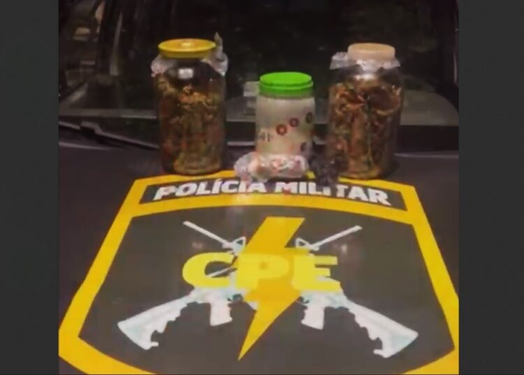 Drogas Polícia