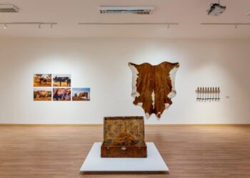 Salão Anapolino de Arte é reconhecido e atrai participantes de várias partes do país. Esse ano, a premiação total será de R$ 87,7 mil