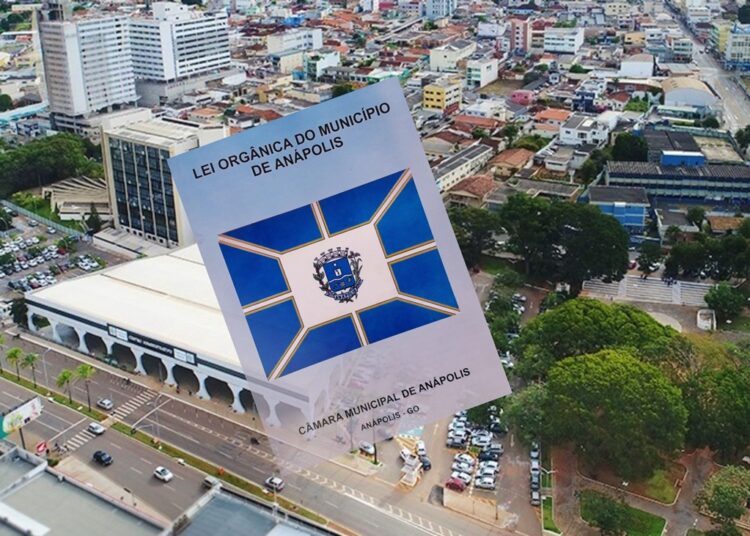 vereadores constituintes