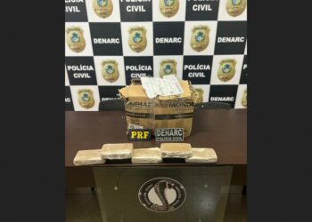 Polícia Civil- Drogas- Divulgação