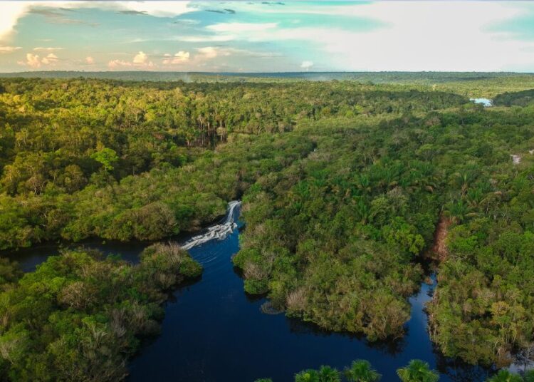 Cinco grandes assentamentos, cobrindo uma área estimada de 300 quilômetros quadrados, foram descobertos no coração da floresta amazônica.