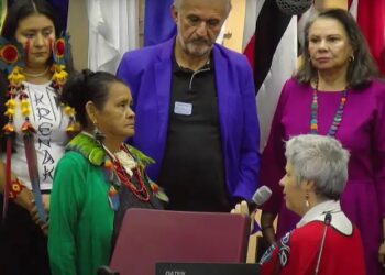 Presidenta da Comissão, Enéa de Stutz e Almeida, pede desculpas de joelhos às comunidades krenak e guarani-kaiowá - Frame/MDHC/Youtube
