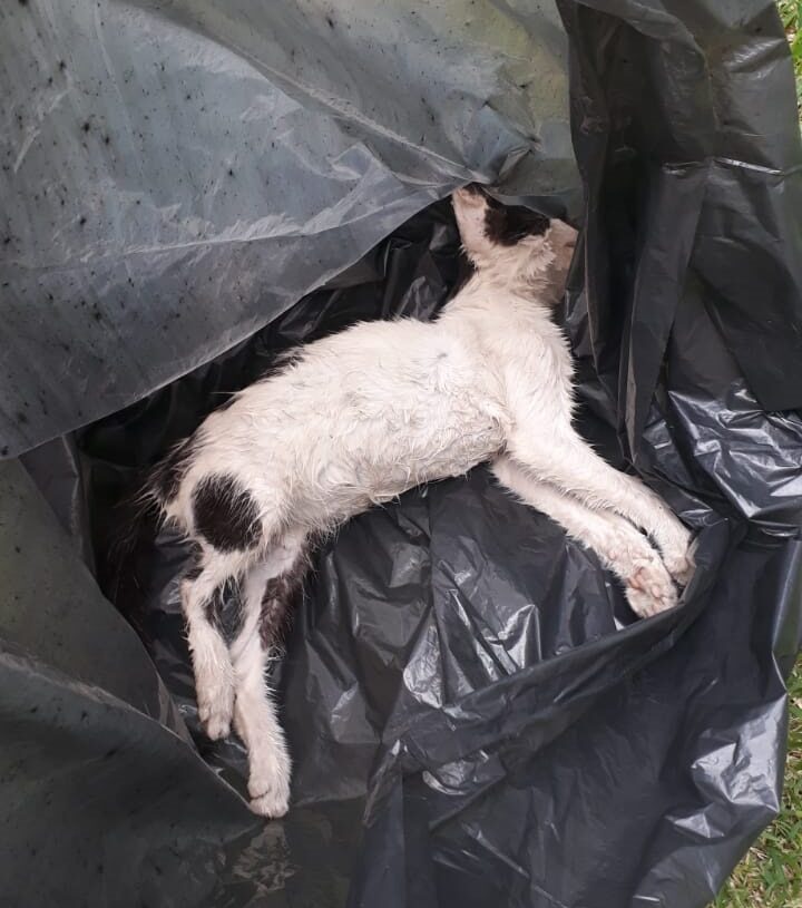 Imagem: Arquivo Condomínio