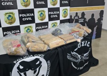Imagem: Divulgação/ PCGO