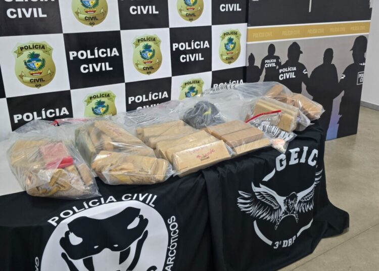 Imagem: Divulgação/ PCGO