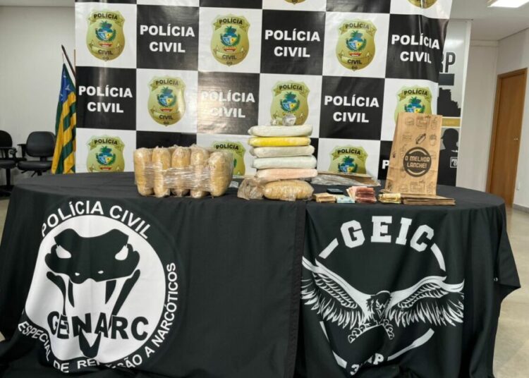 Para facilitar as vendas, os criminosos utilizavam embalagens e caixas “de lanches” (Foto: Divulgação - PCGO)