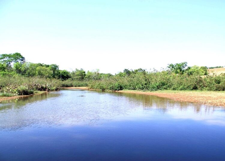 Ribeirão Piancó