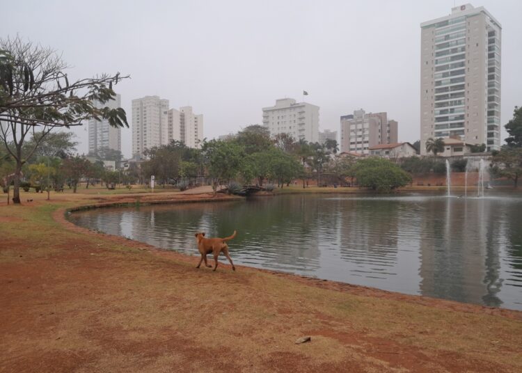 Clima Anápolis- Contexto