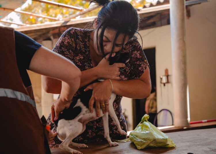 Meta estabelecida pela Prefeitura de Anápolis é vacinar 47.200 animais até o final de 2024 (Foto: Divulgação)