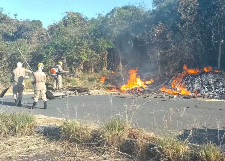 Corpo de Bombeiros em ação para apagar fogo nas proximidades do DAIA, em Anápolis