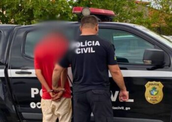 Polícia prende em Abadiânia suspeito de abusar da filha e da enteada (Foto: Polícia Civil)